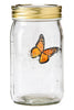 My Butterfly Collection Animated in a Jar Monarch