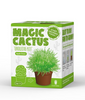Magic Cactus Crystal