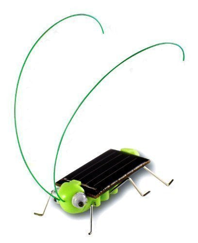 Buy Socialme Solar Powered Toy, Solar Power Grasshopper Miniature